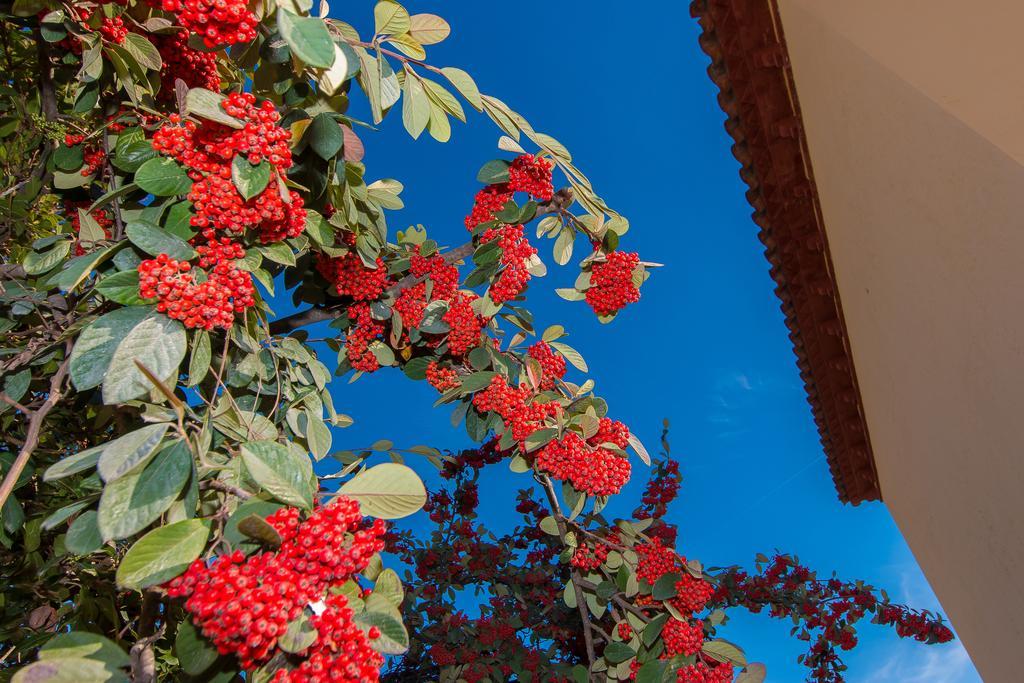 Tu Casa En Barcelona Villa Sant Cugat del Vallès Rom bilde